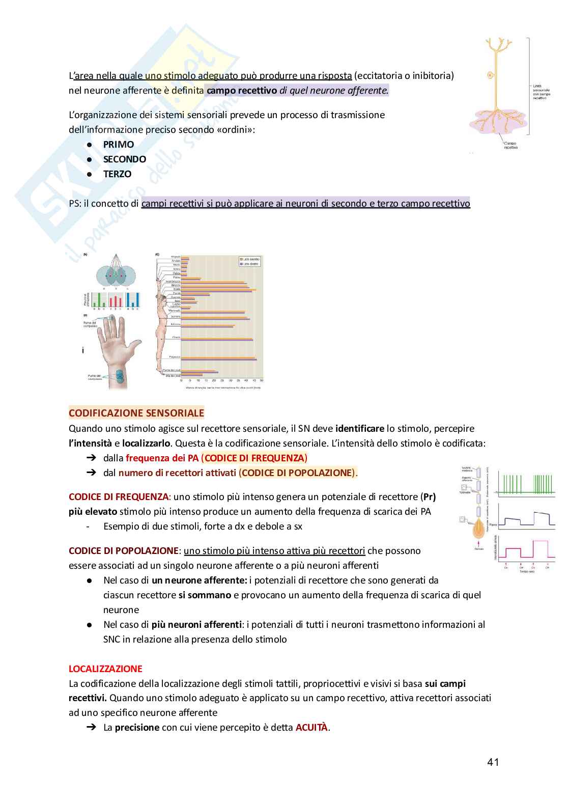 Fisiologia umana  Pag. 41