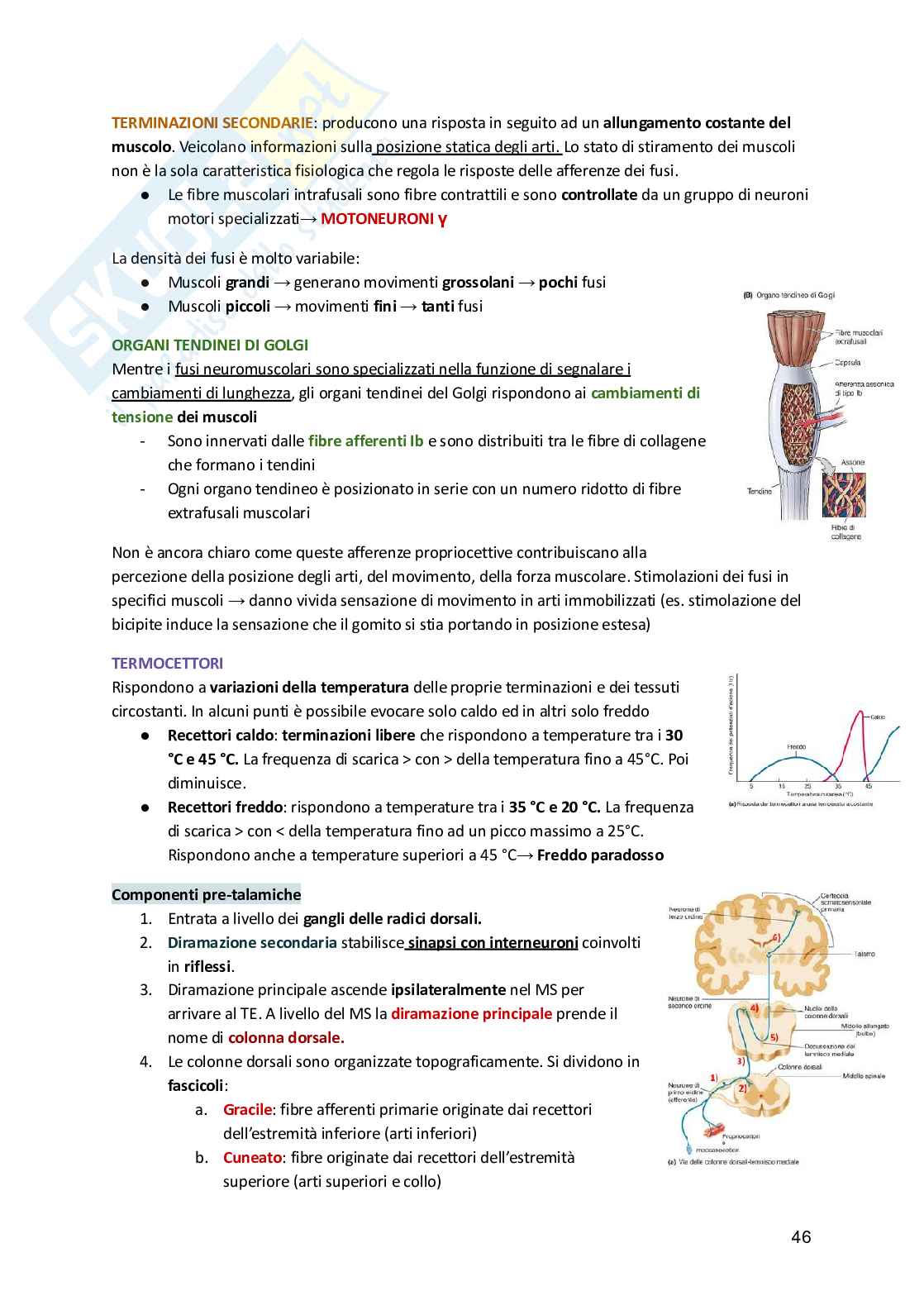 Fisiologia umana  Pag. 46