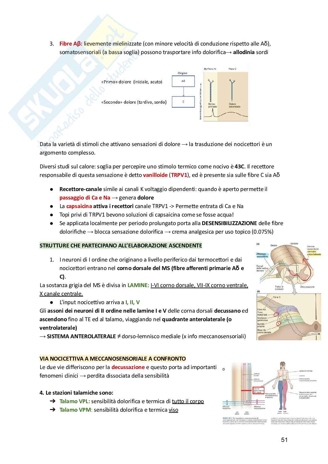 Fisiologia umana  Pag. 51
