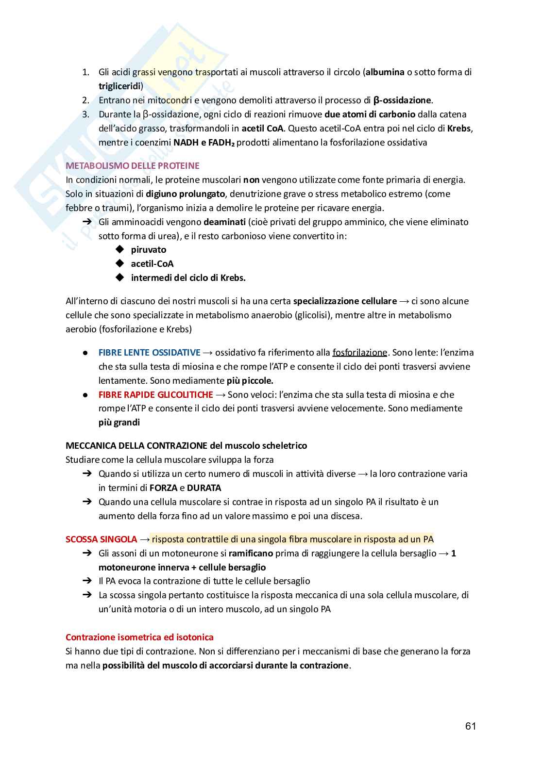 Fisiologia umana  Pag. 61
