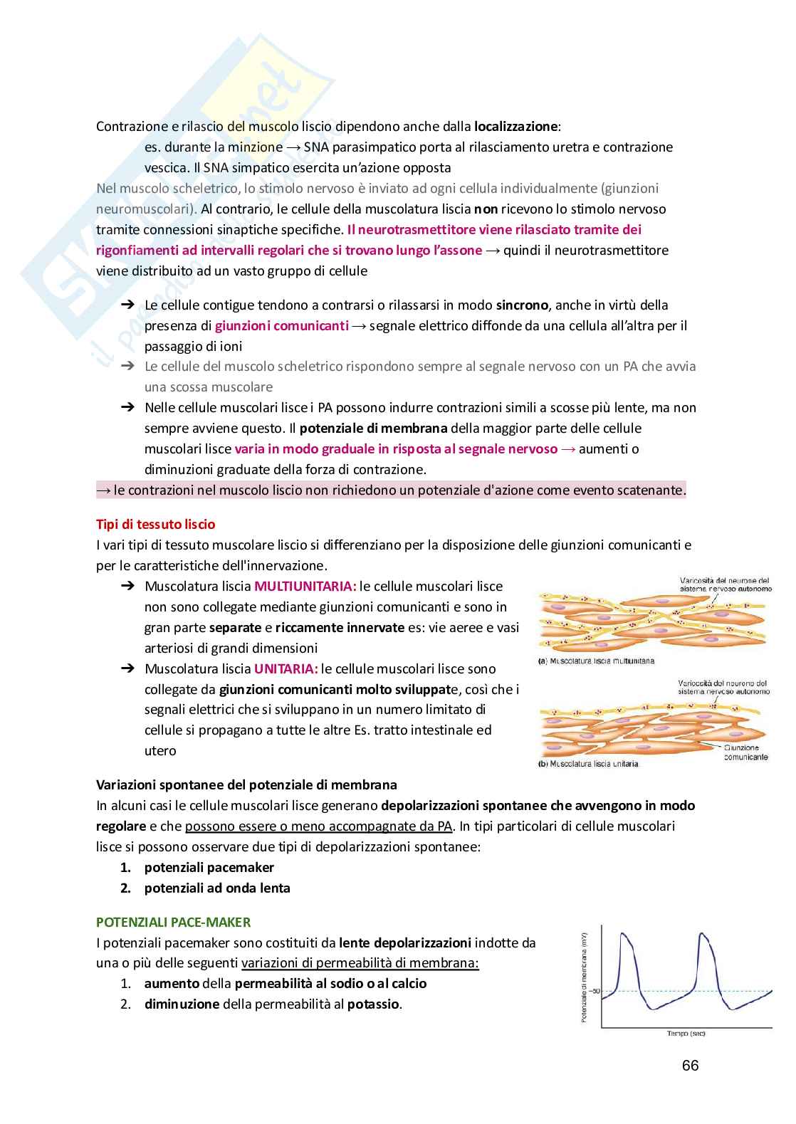 Fisiologia umana  Pag. 66