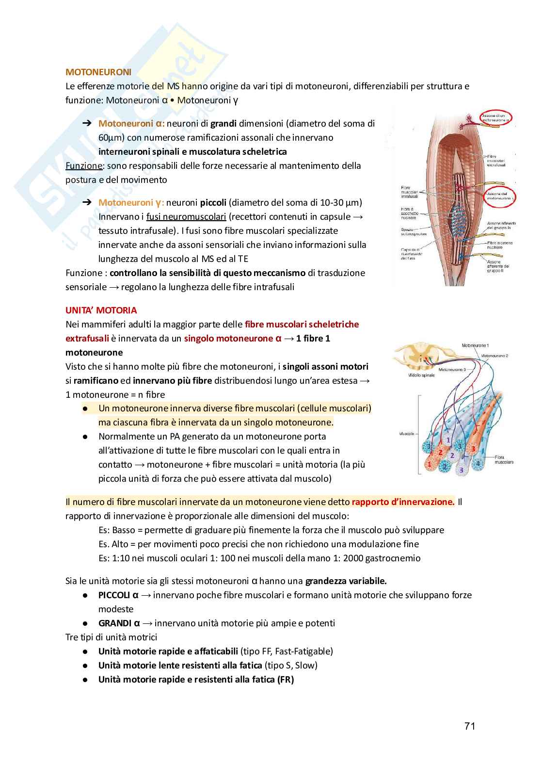 Fisiologia umana  Pag. 71