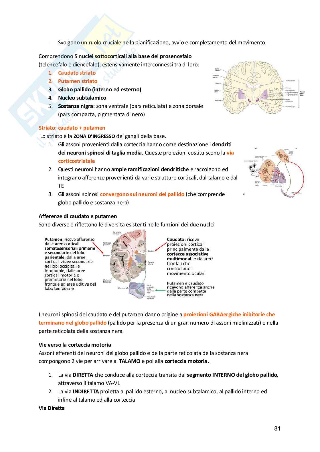 Fisiologia umana  Pag. 81