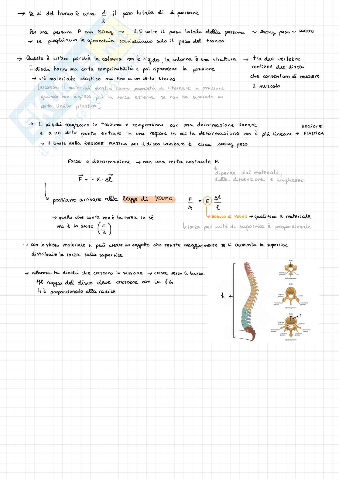 Appunti di Fisica medica Pag. 26
