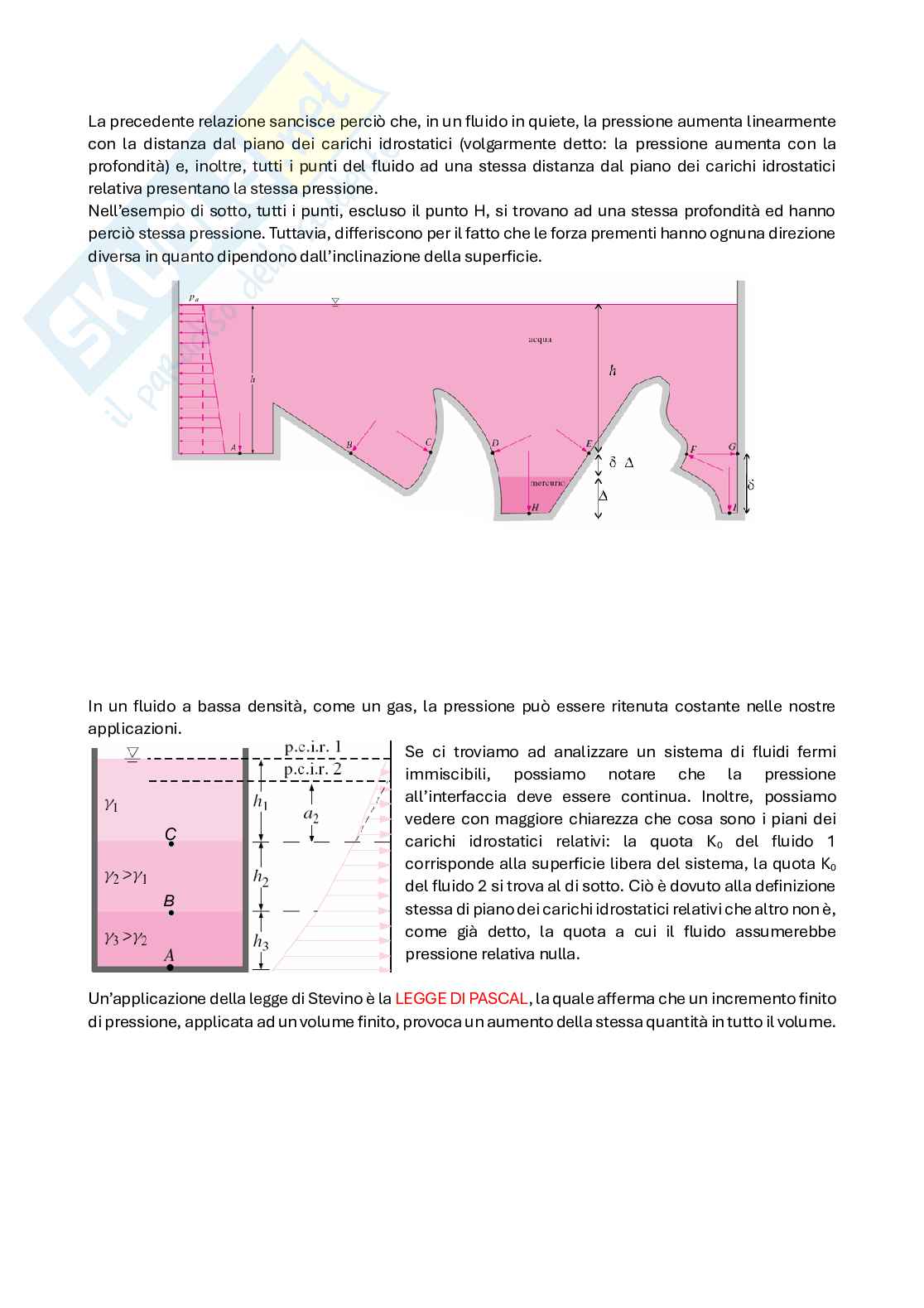 Appunti del corso di Fluidodinamica Pag. 11
