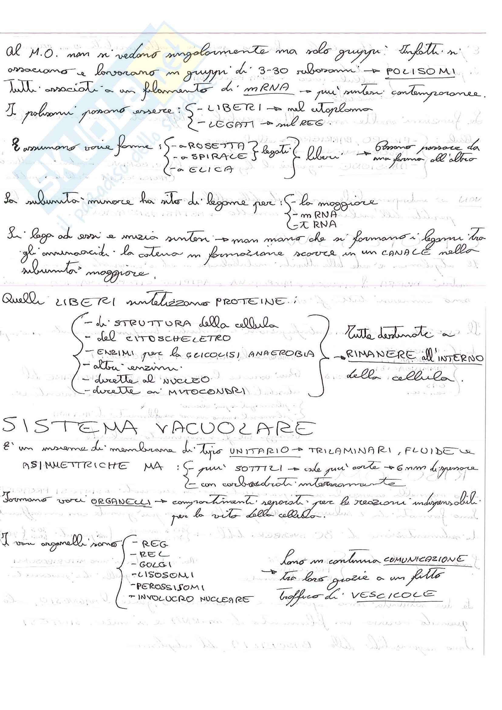 Lezioni, Citologia Pag. 6