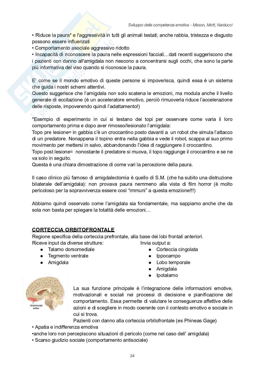 Appunti completi Sviluppo della competenza emotiva  Pag. 26