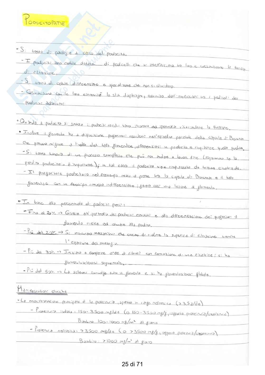 Nefrologia - Schemi Pag. 26