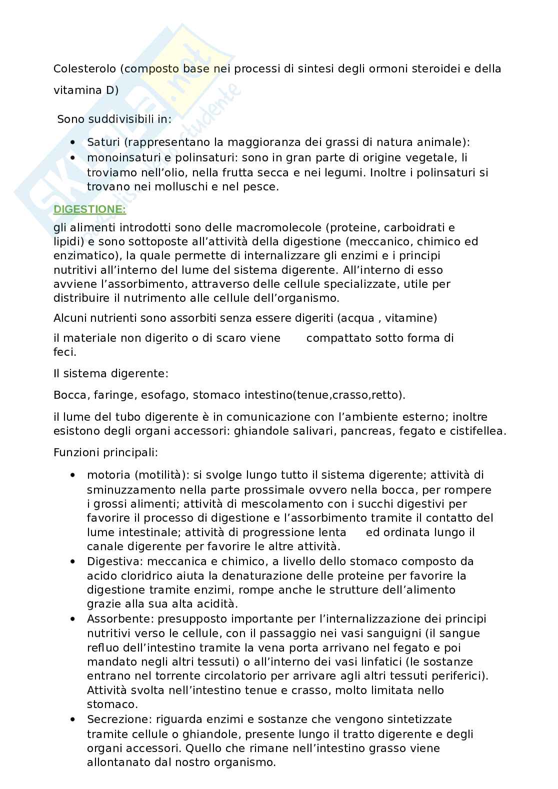 Fisiologia Pag. 6