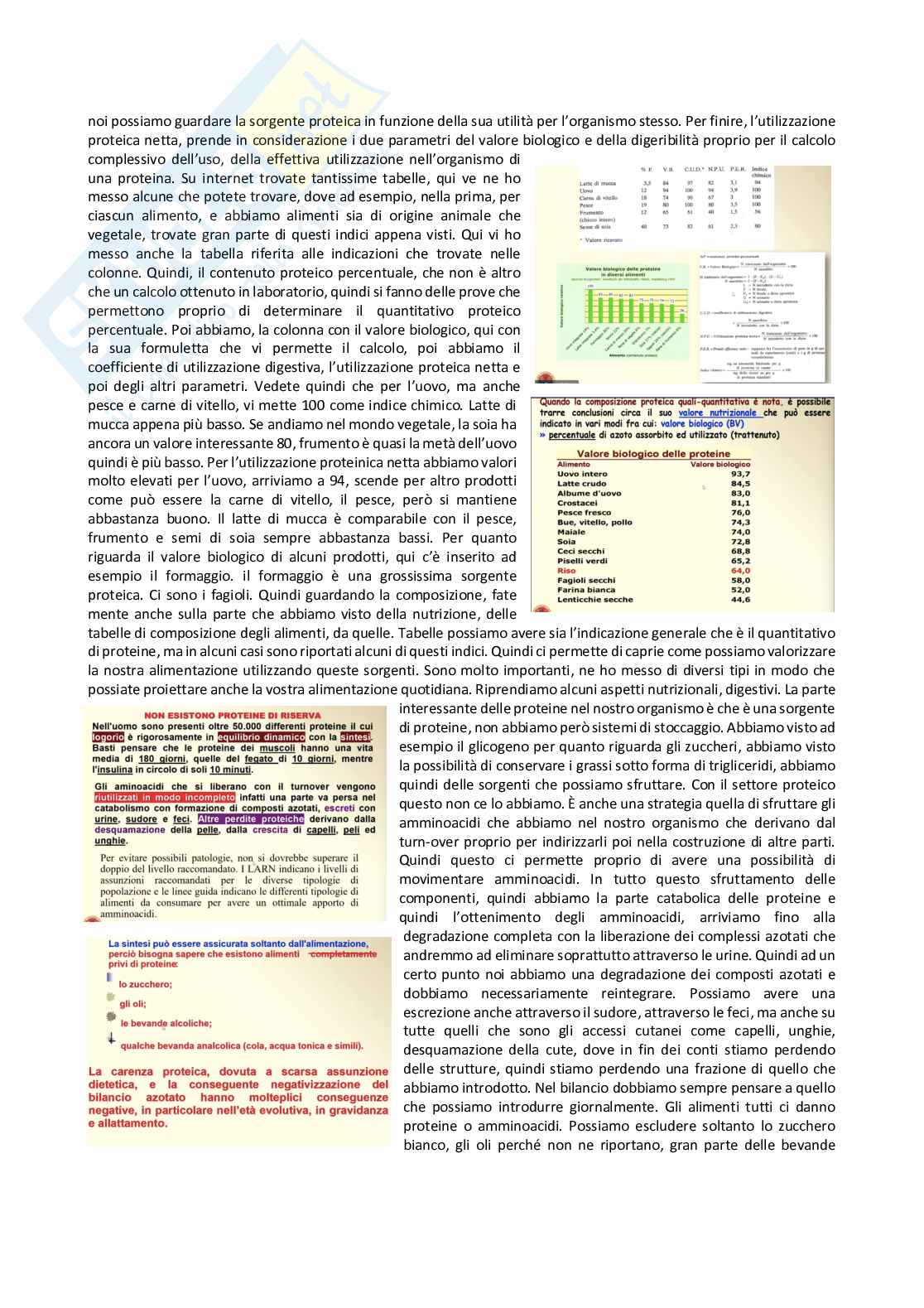 Prodotti dietetici - parte 4 Pag. 2