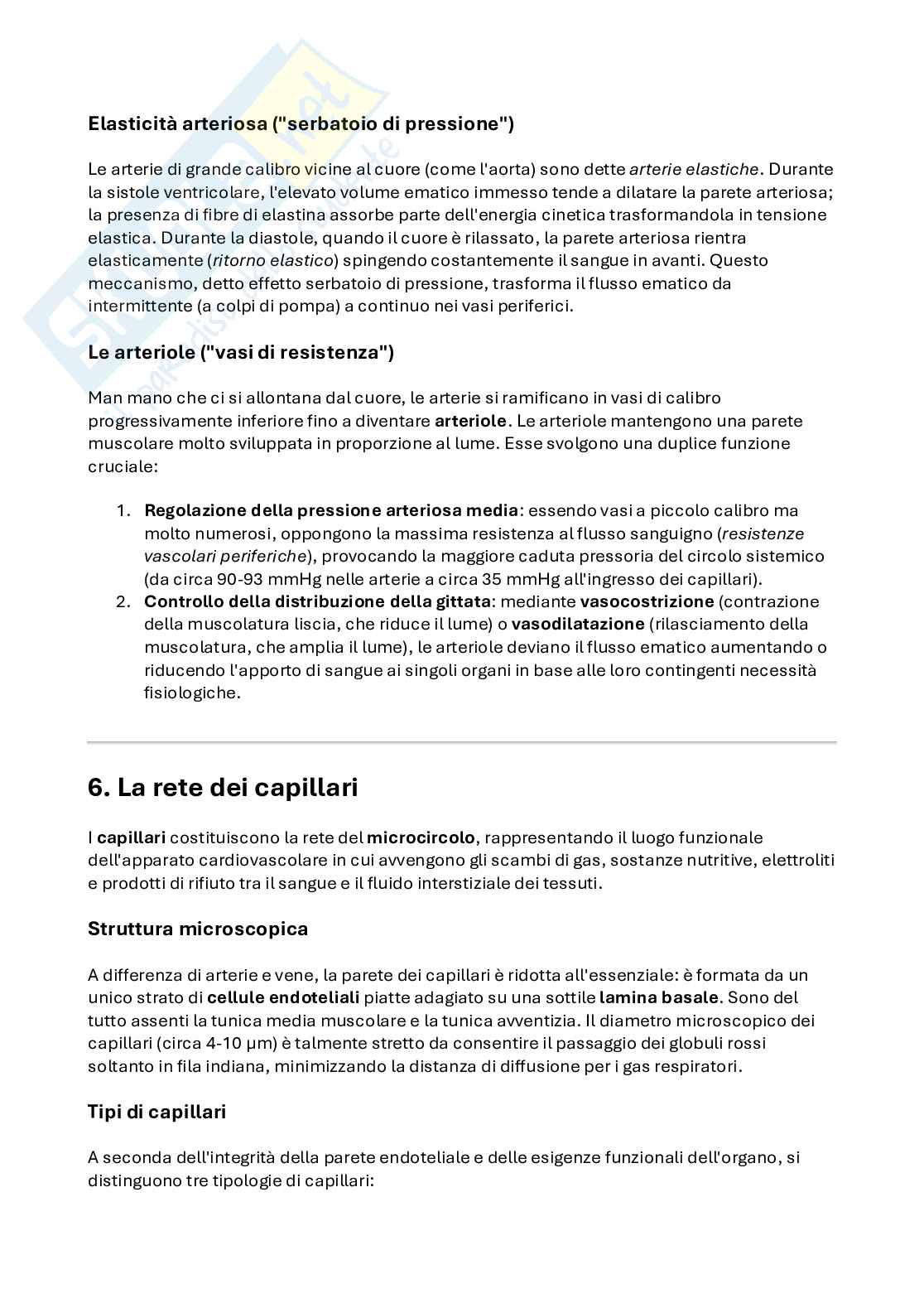 Appunti di Malattie infettive sul sistema endocrino Pag. 6