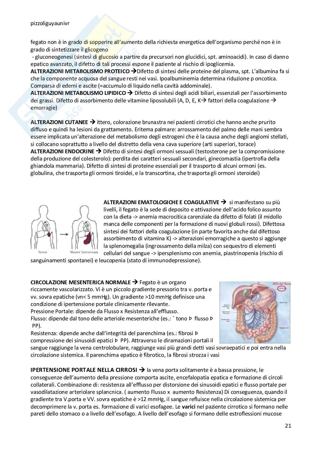 Appunti di Principi di medicina e nutrizione  Pag. 21