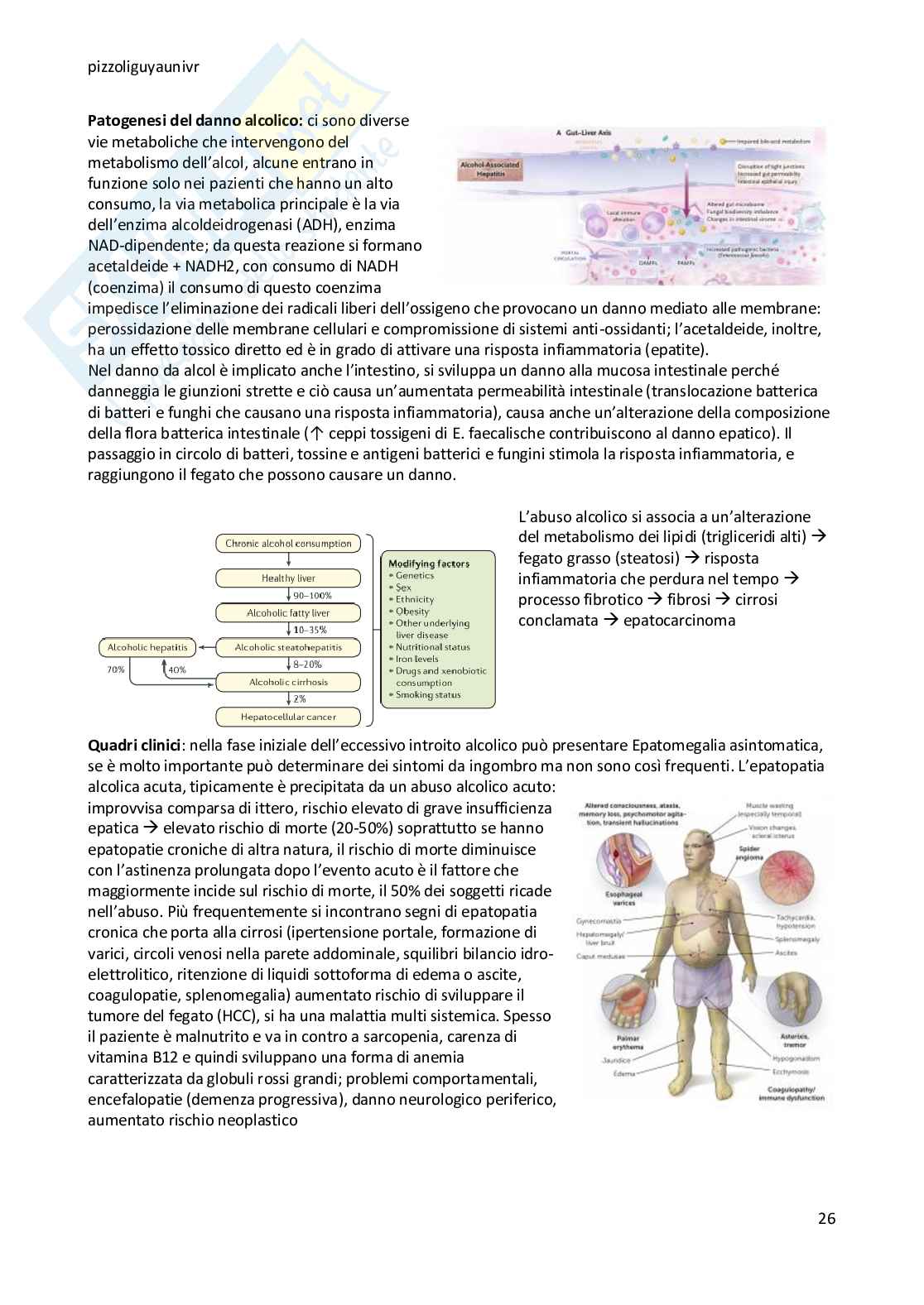 Appunti di Principi di medicina e nutrizione  Pag. 26