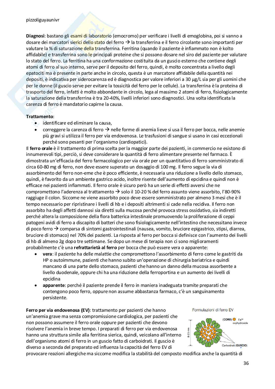 Appunti di Principi di medicina e nutrizione  Pag. 36