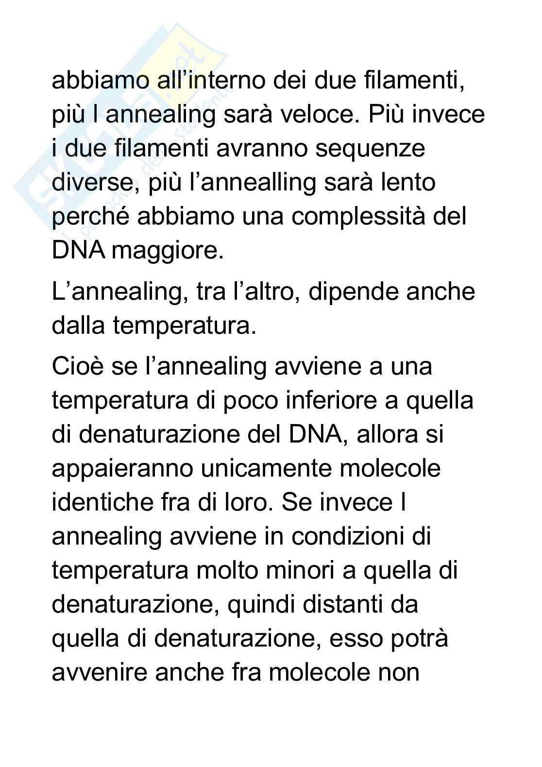 Schemi Biologia molecolare  Pag. 6