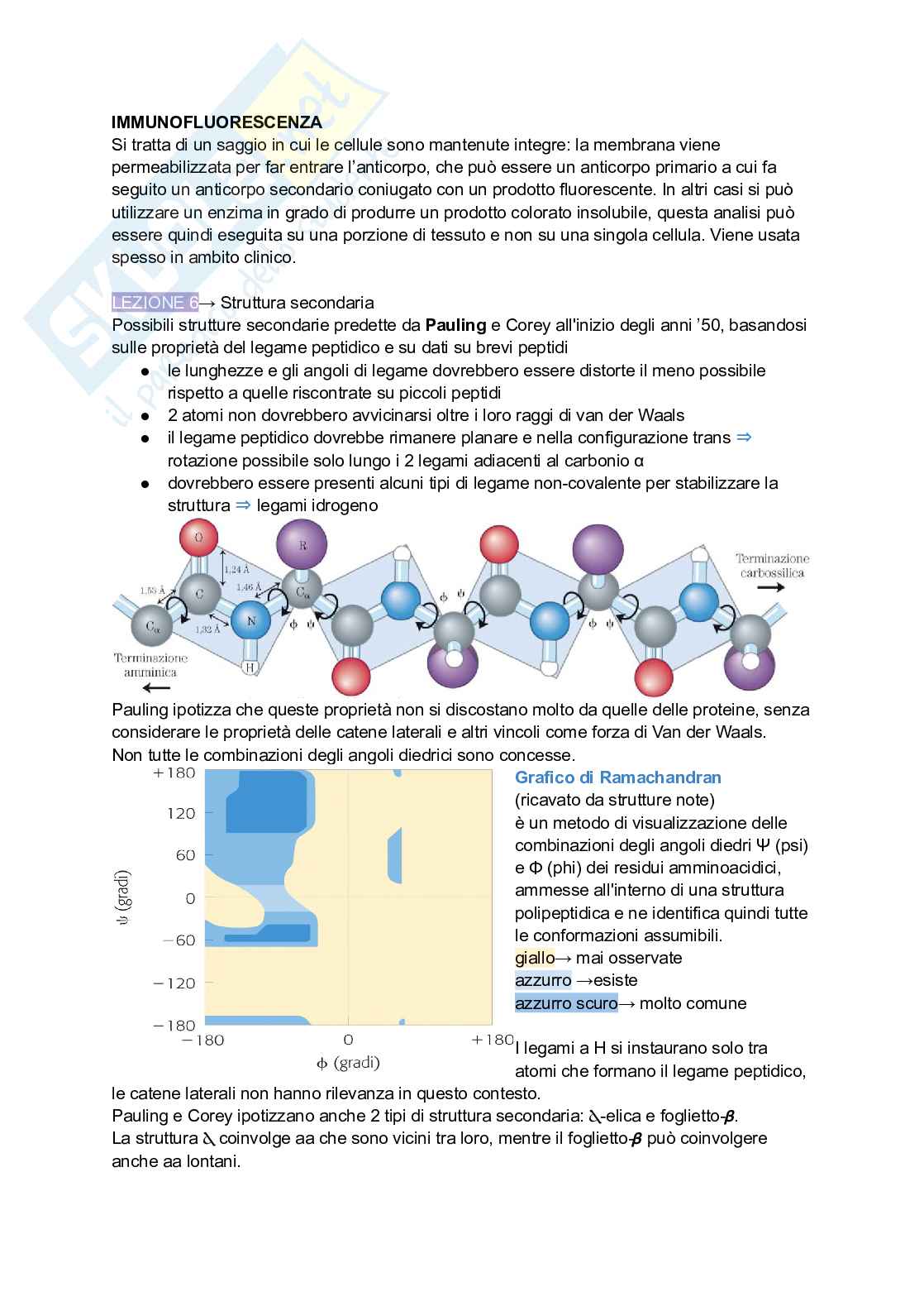 Appunti di Biochimica Pag. 16