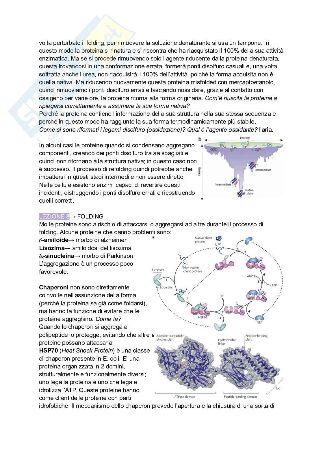 Appunti di Biochimica Pag. 21