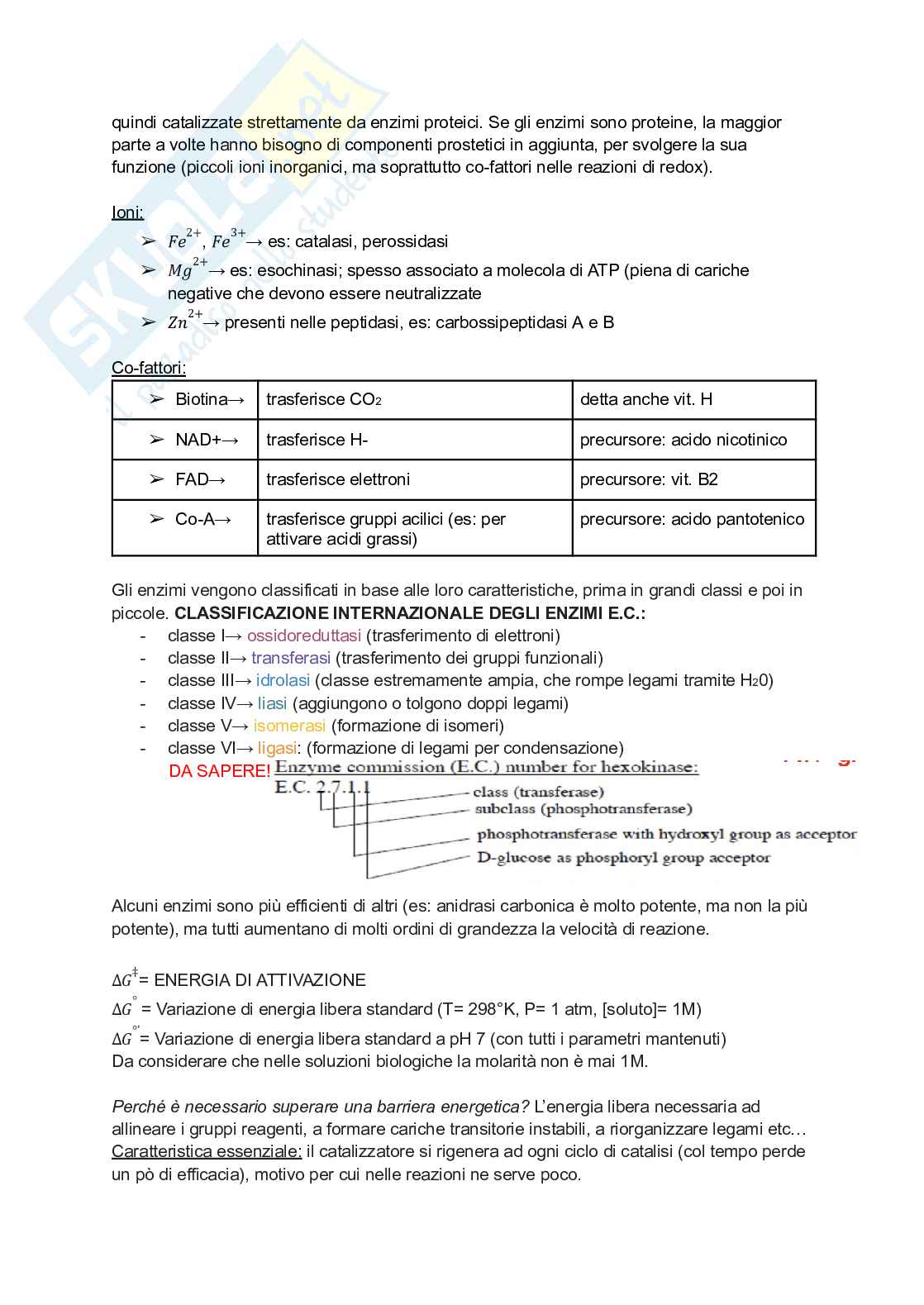 Appunti di Biochimica Pag. 31