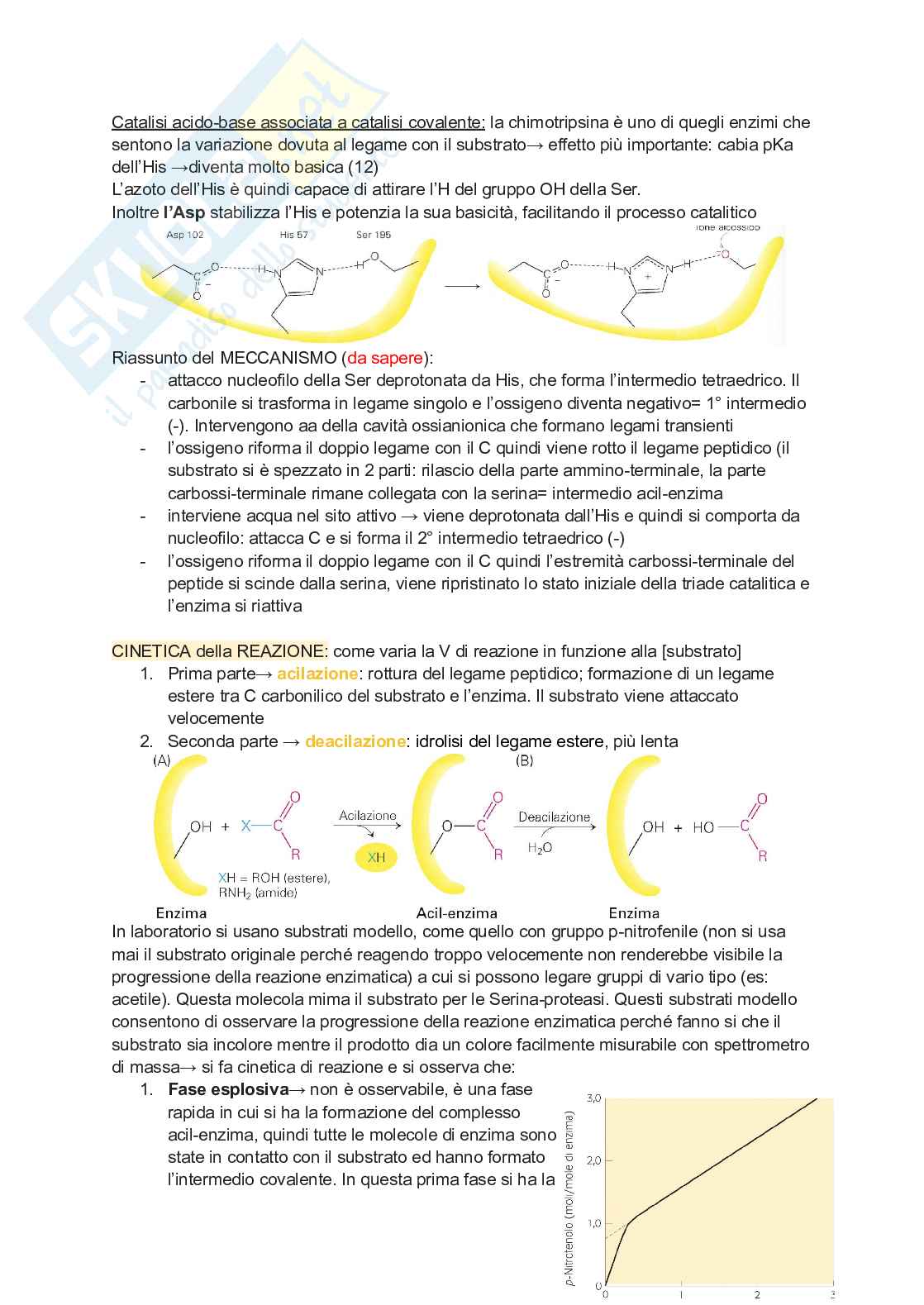 Appunti di Biochimica Pag. 36