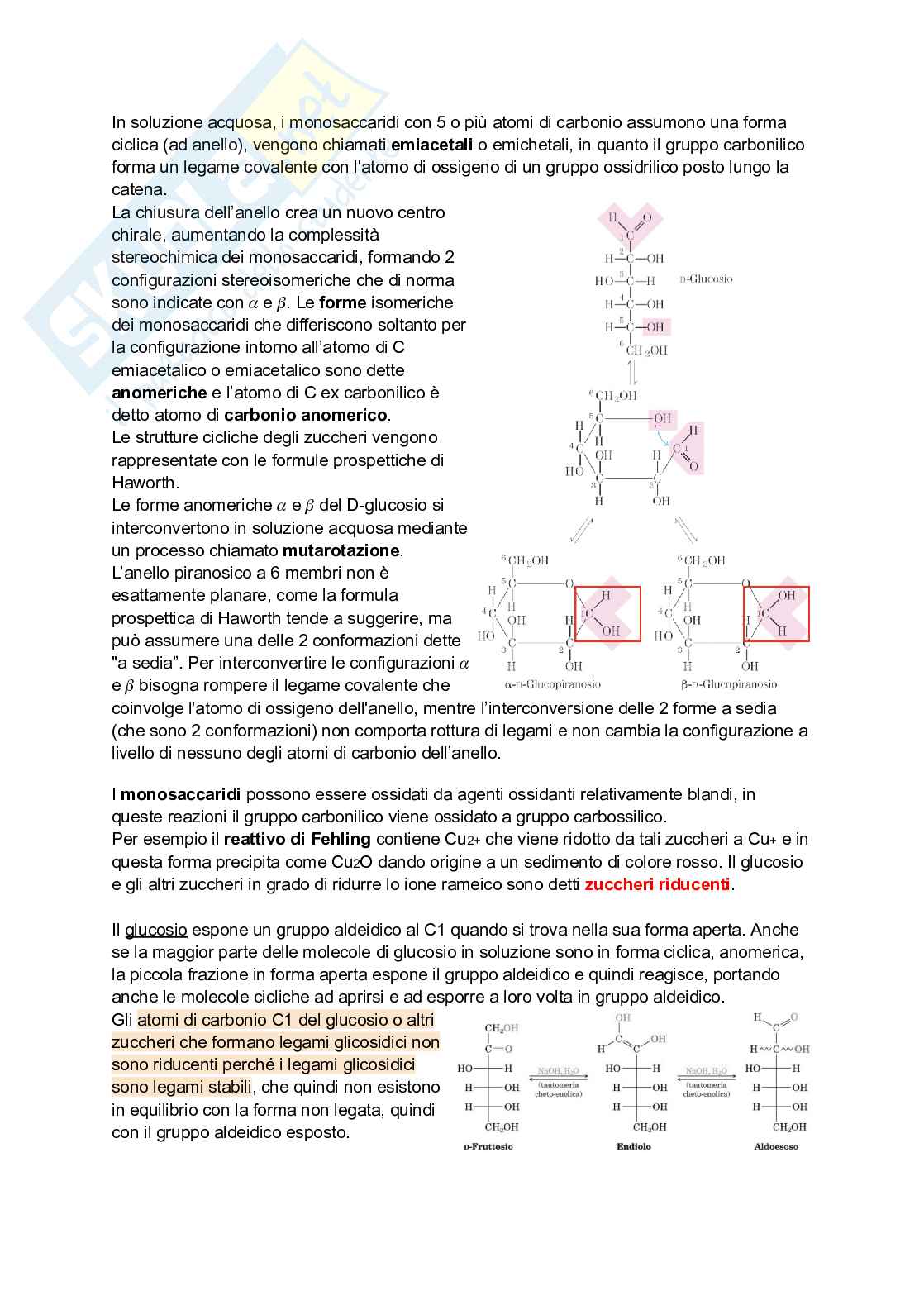Appunti di Biochimica Pag. 51