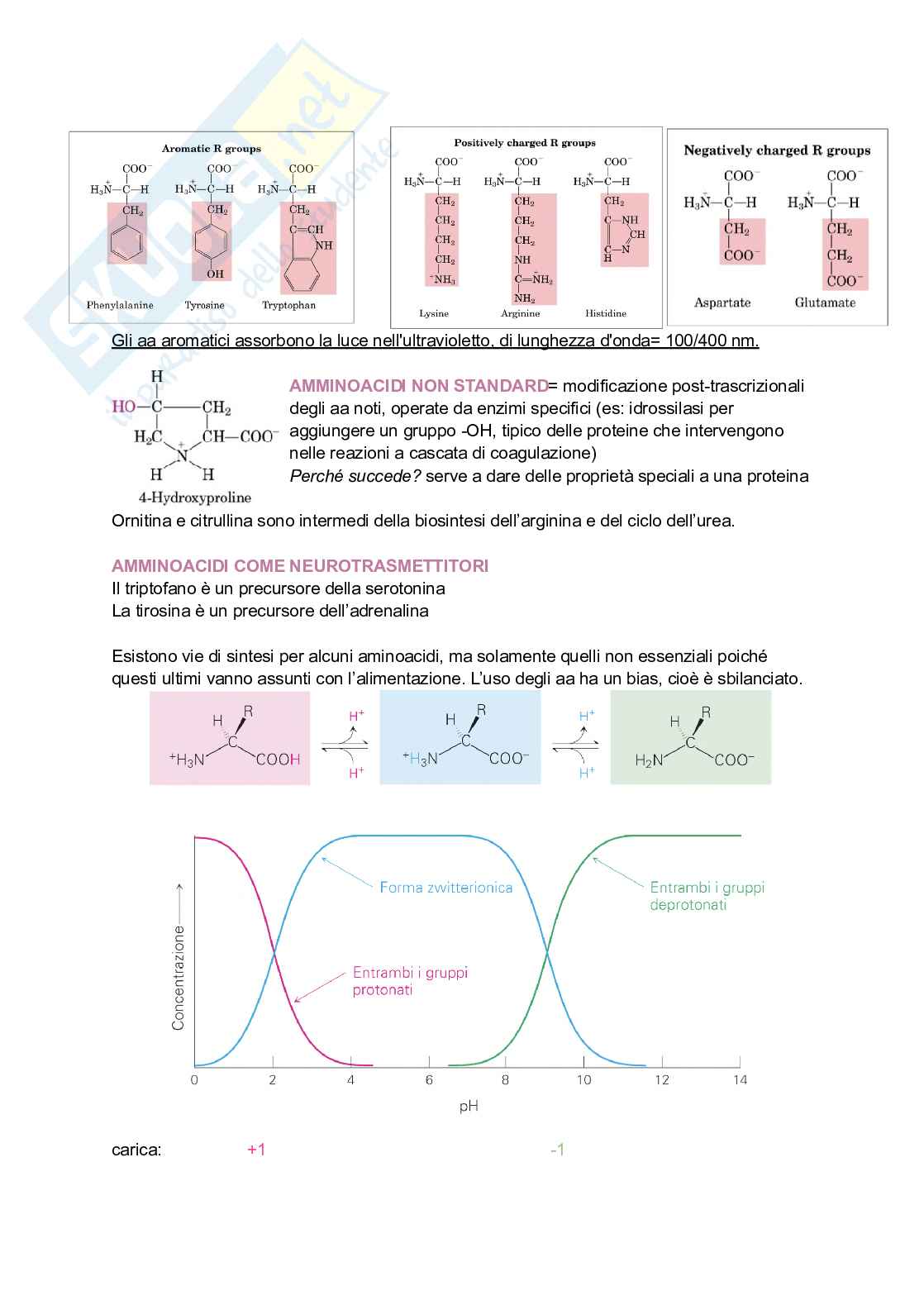 Appunti di Biochimica Pag. 6