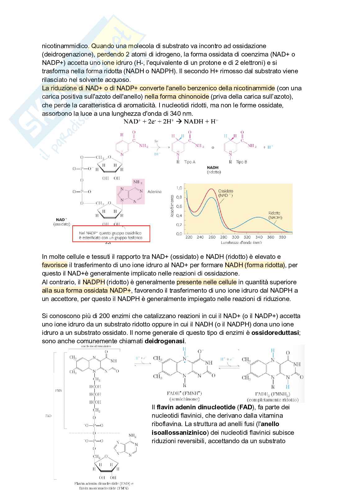 Appunti di Biochimica Pag. 66