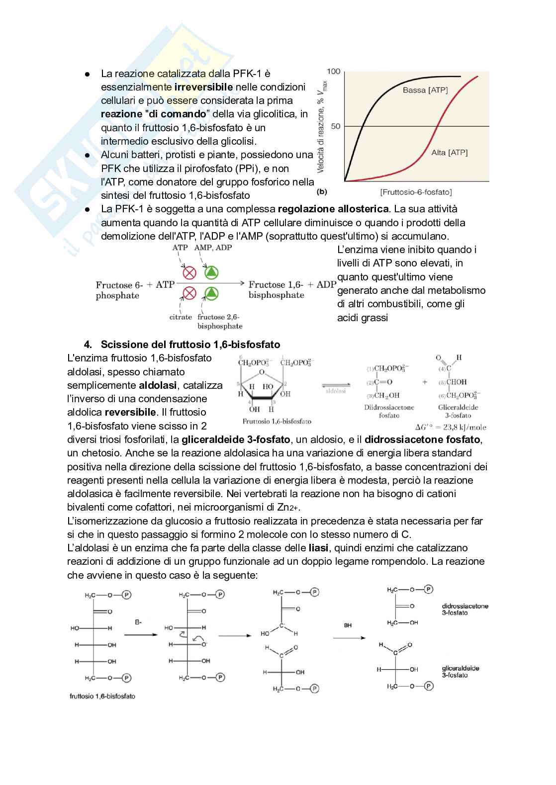 Appunti di Biochimica Pag. 71