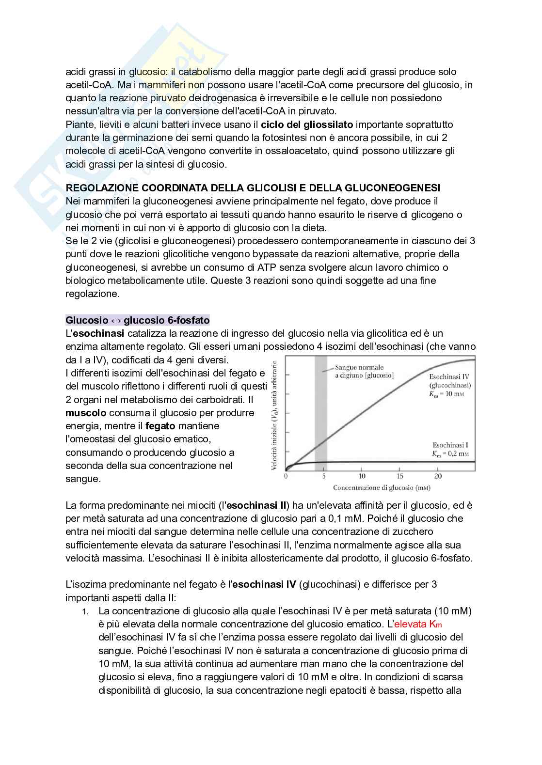 Appunti di Biochimica Pag. 91