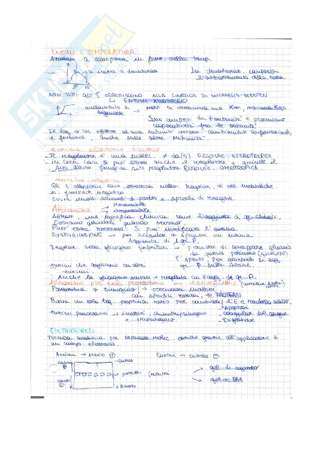 Biochimica Pag. 31