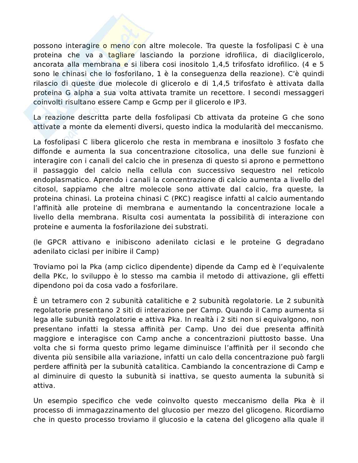 Biologia molecolare Pag. 6