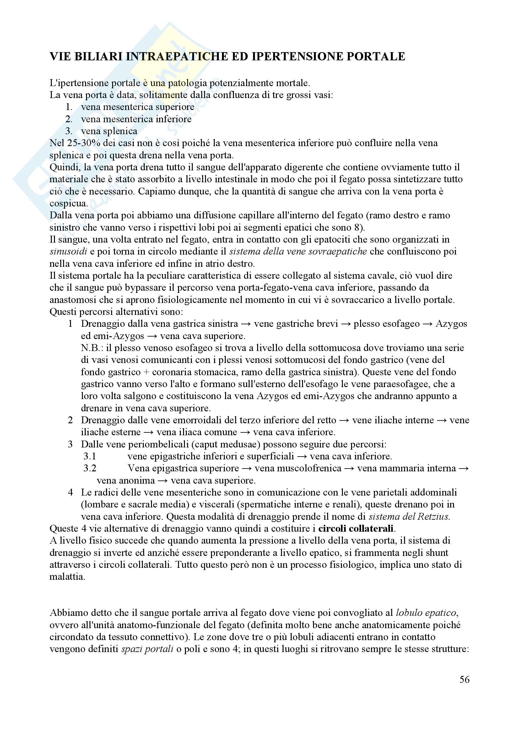 Chirurgia generale Pag. 56