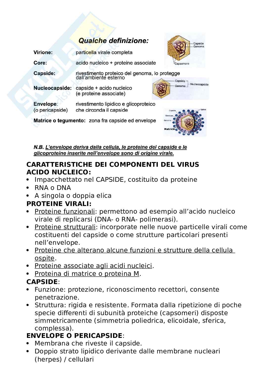 Selezione naturale Pag. 6