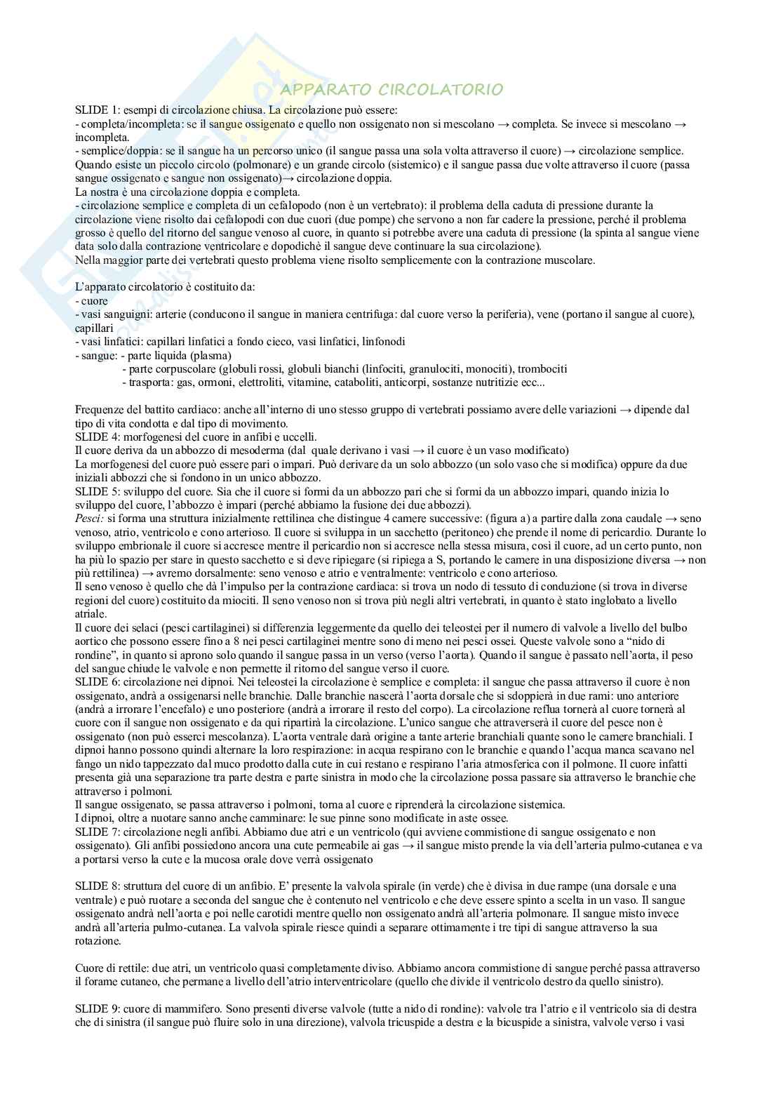 Apparato circolatorio Pag. 1