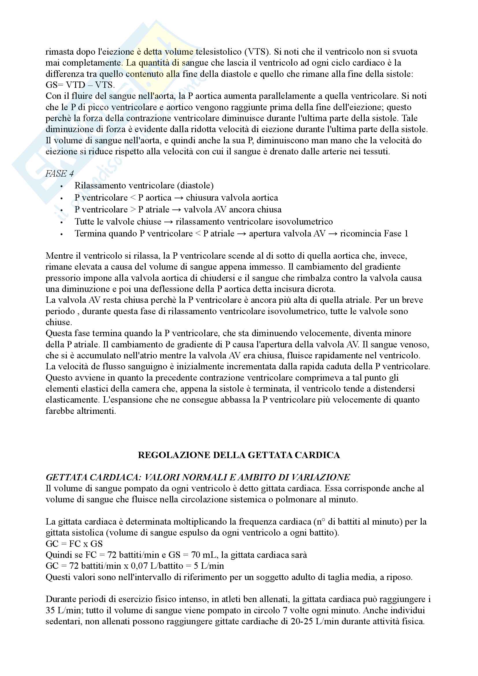 Organizzazione del Sistema cardiovascolare Pag. 11