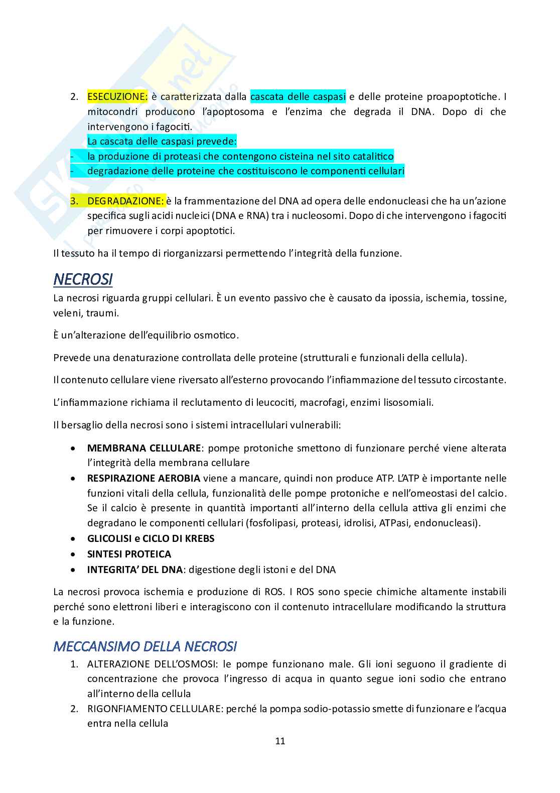 Patologia Pag. 11