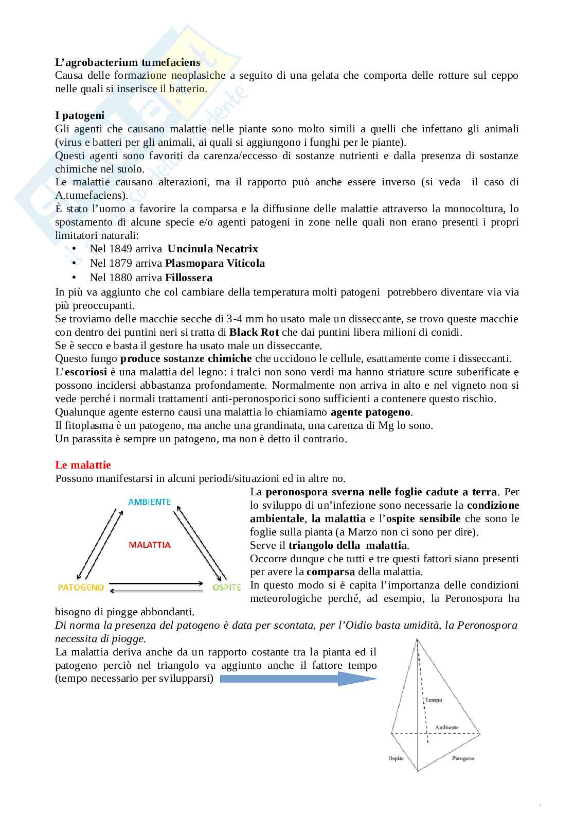 Patologia della vite - Appunti di patologia presi al computer durante le lezioni - 75 pagine Pag. 2