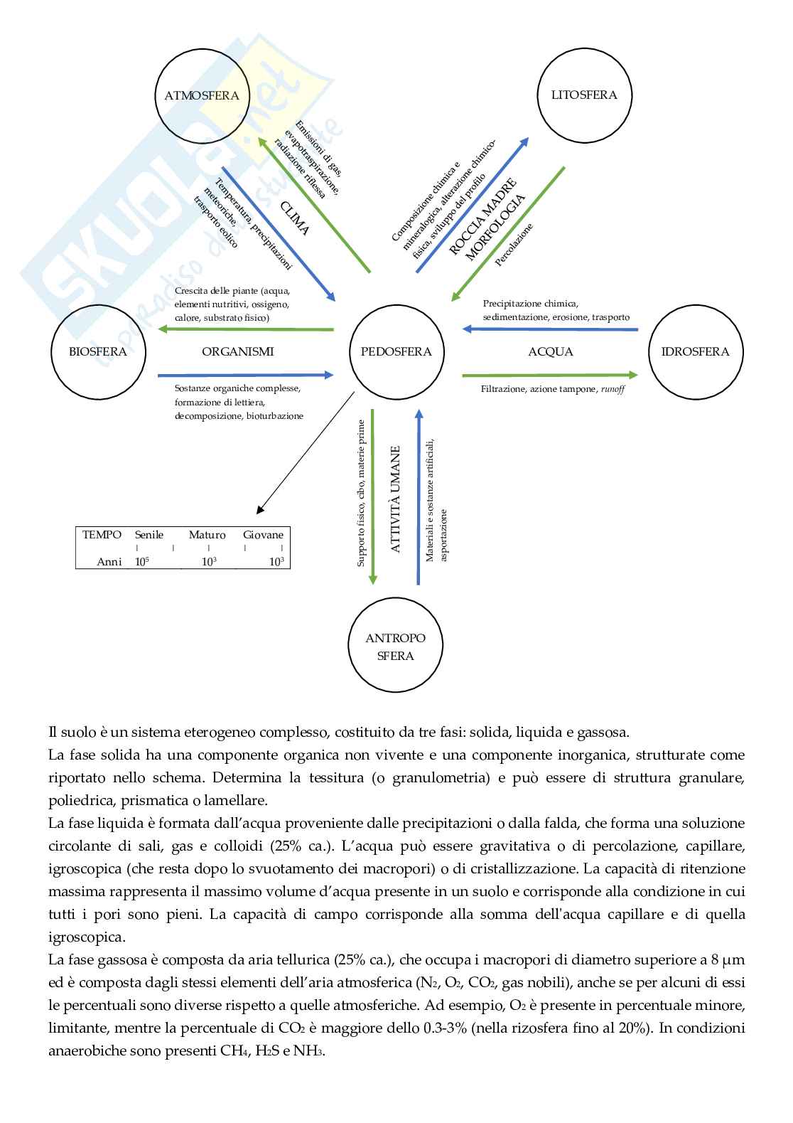 Biomonitoraggio dell'aria e del suolo Pag. 31