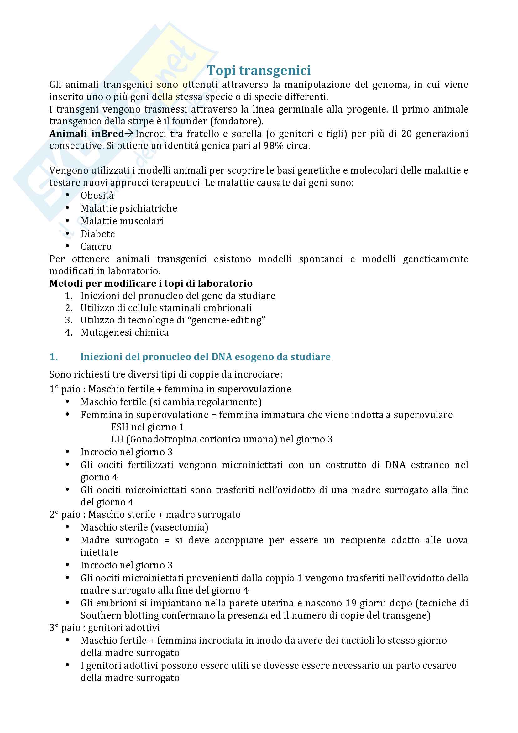 Topi transgenici Pag. 1