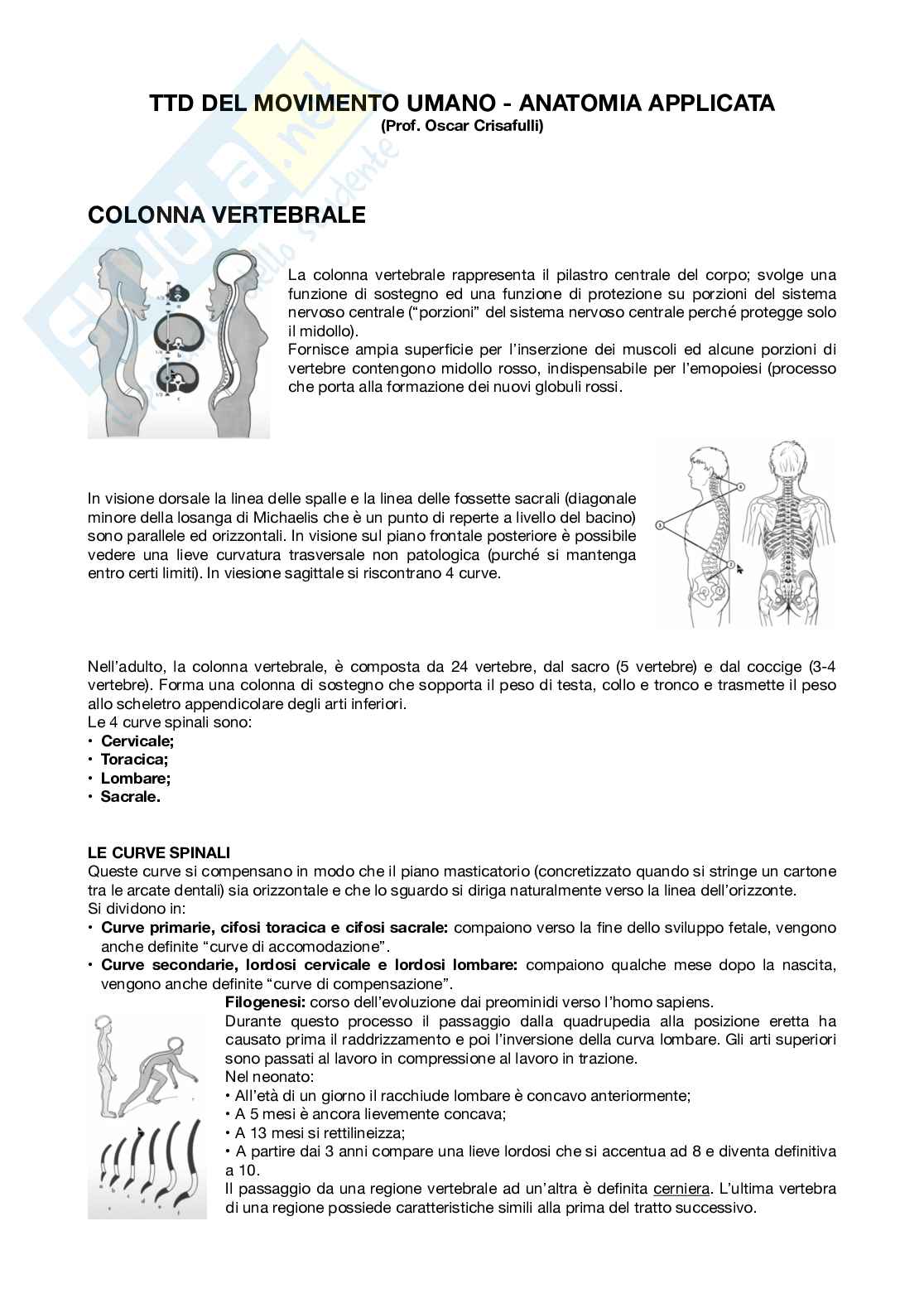 Appunti di Anatomia - parte 1