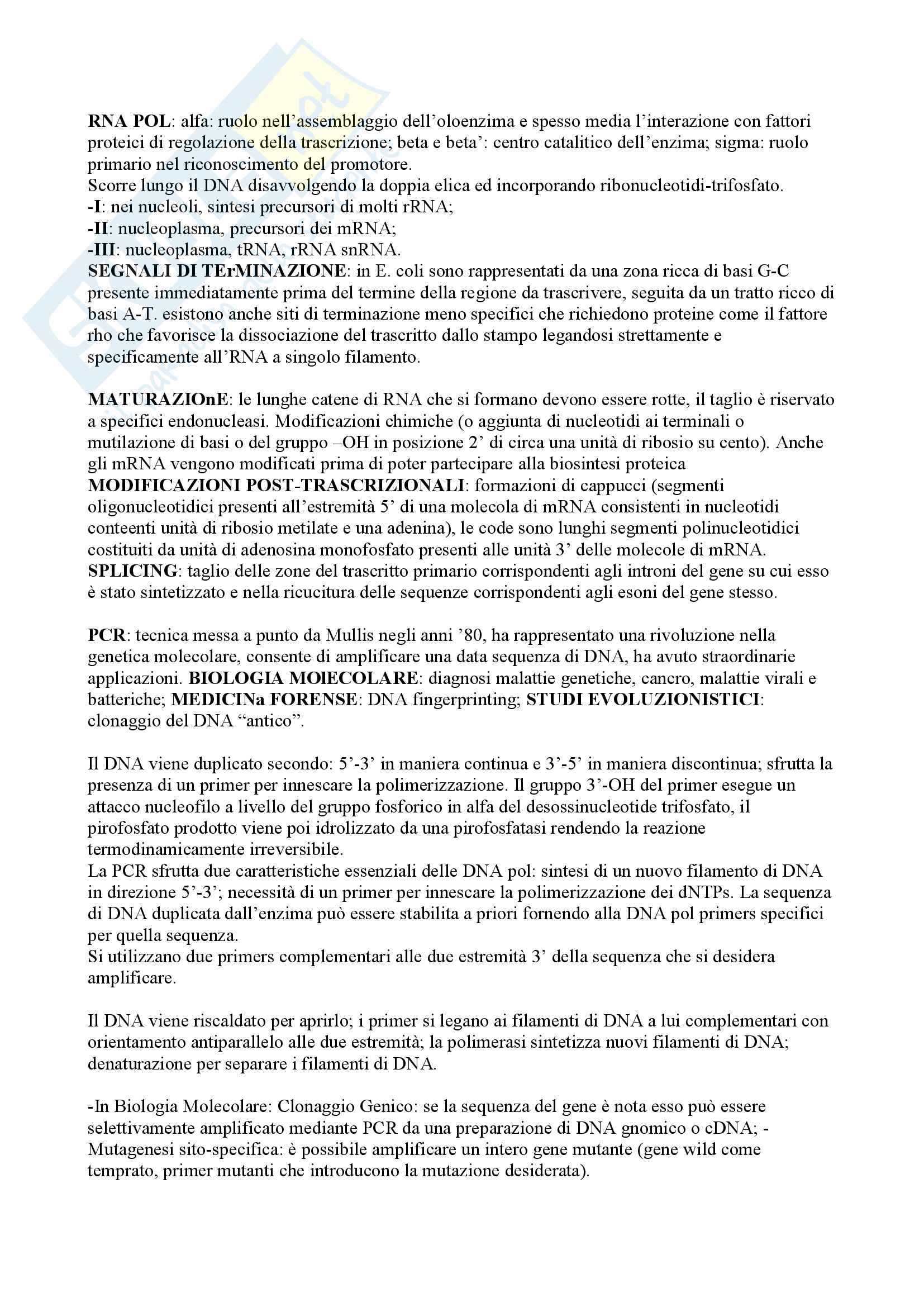 Riassunti esame di Biologia per Professioni sanitarie Pag. 6