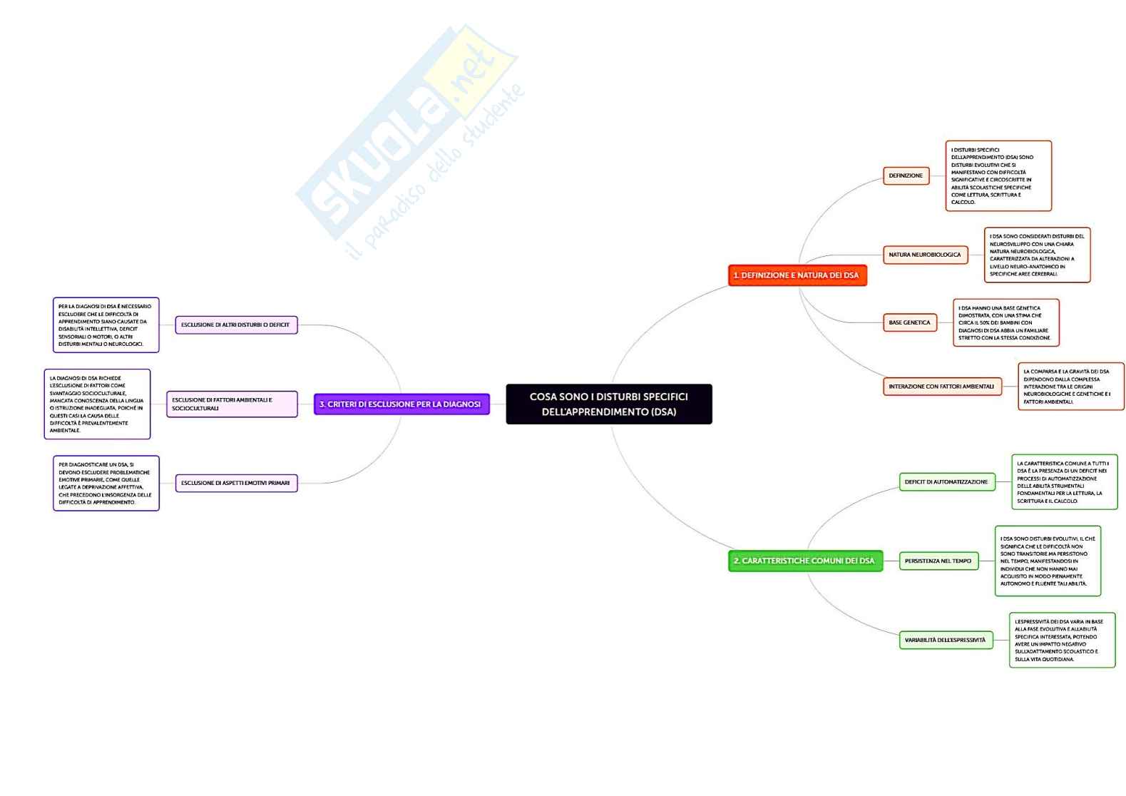 DSA: percorsi inclusivi in università  Pag. 1