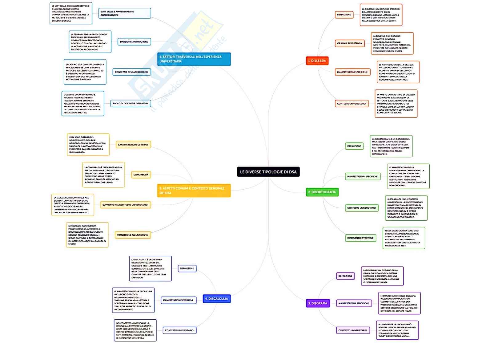 DSA: percorsi inclusivi in università  Pag. 2