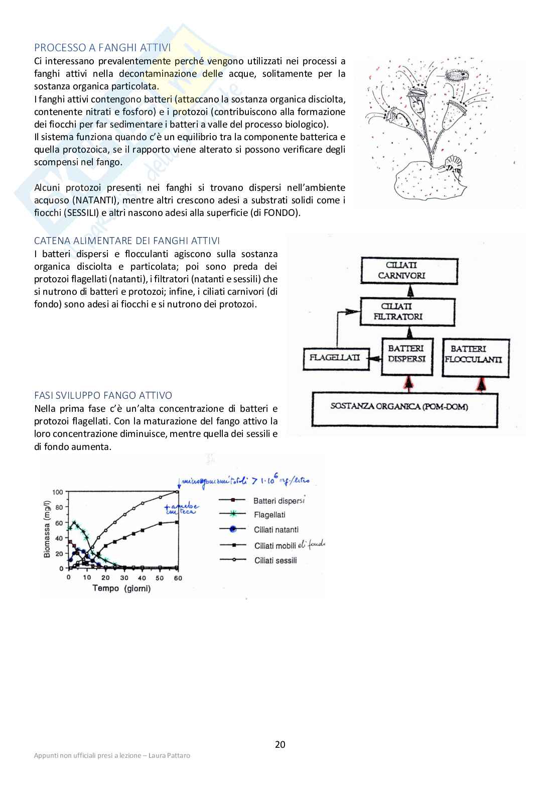Microbiologia per il disinquinamento Pag. 21
