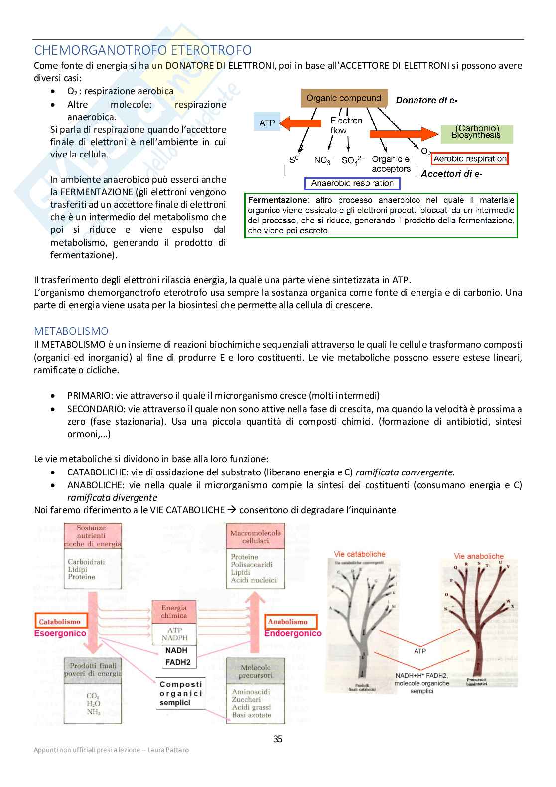Microbiologia per il disinquinamento Pag. 36