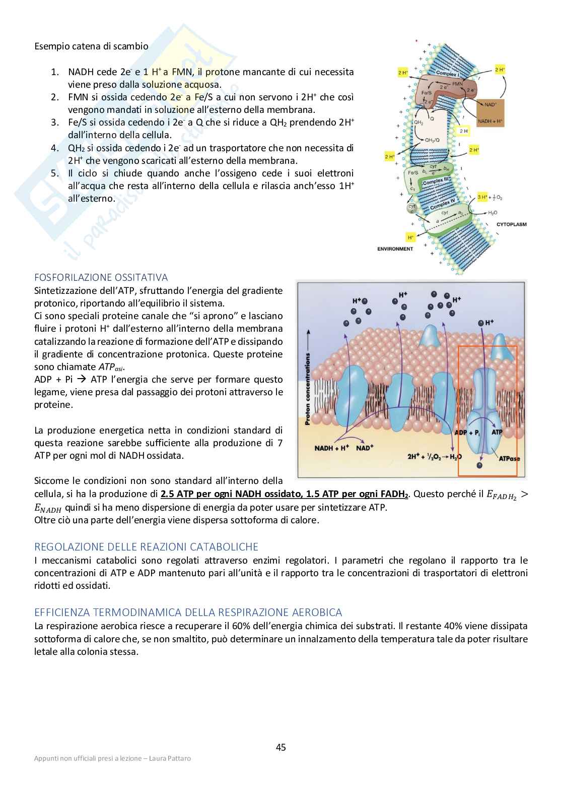 Microbiologia per il disinquinamento Pag. 46