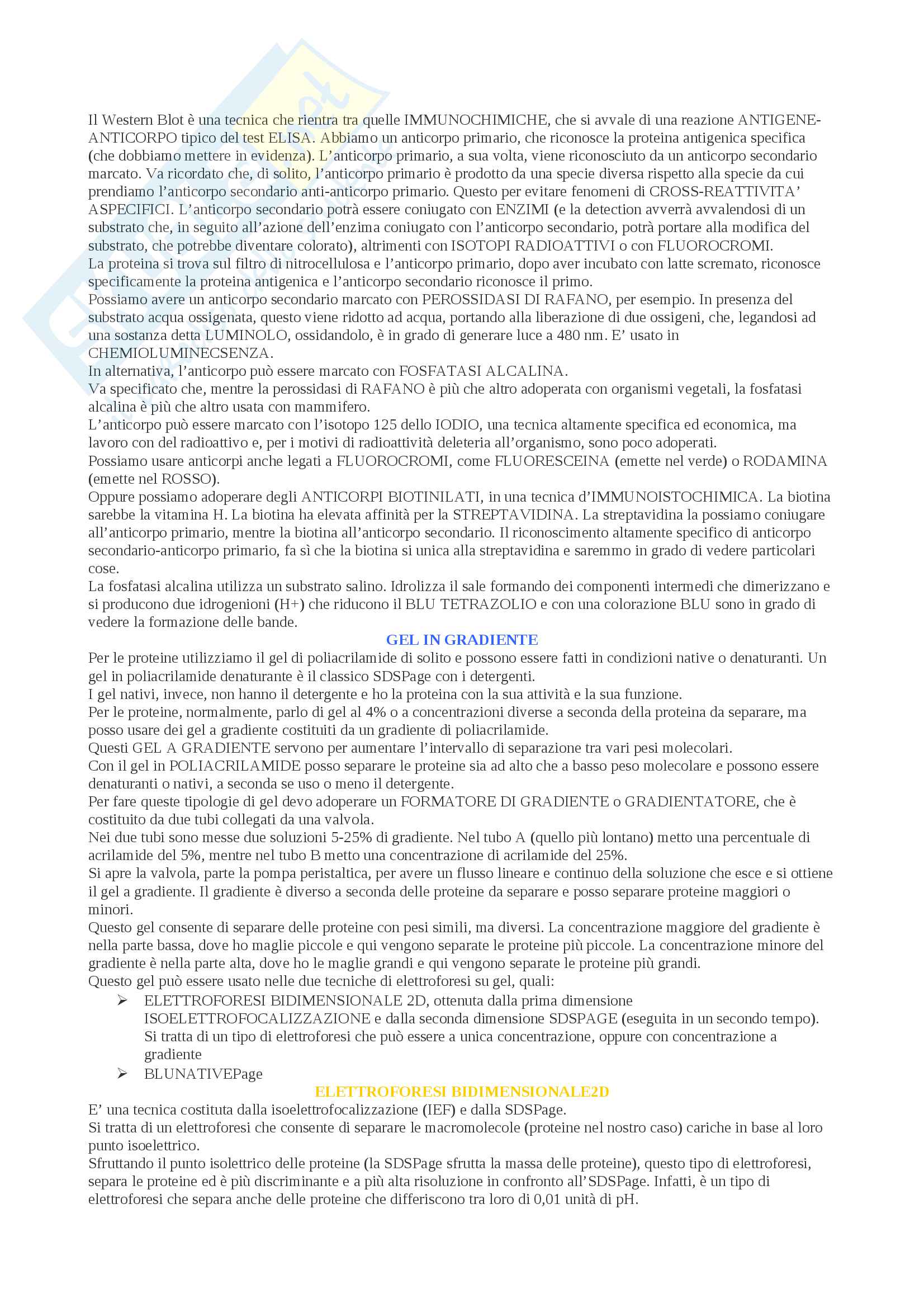 Metodologie biochimiche II Pag. 1