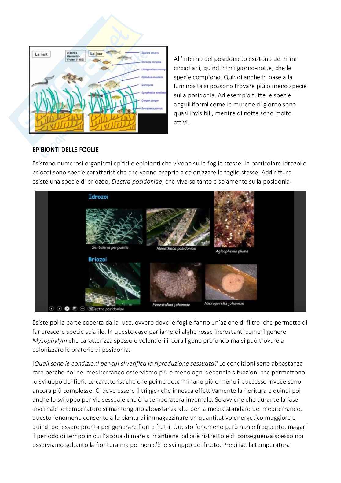 Conservazione e biodiversità vegetale Pag. 61