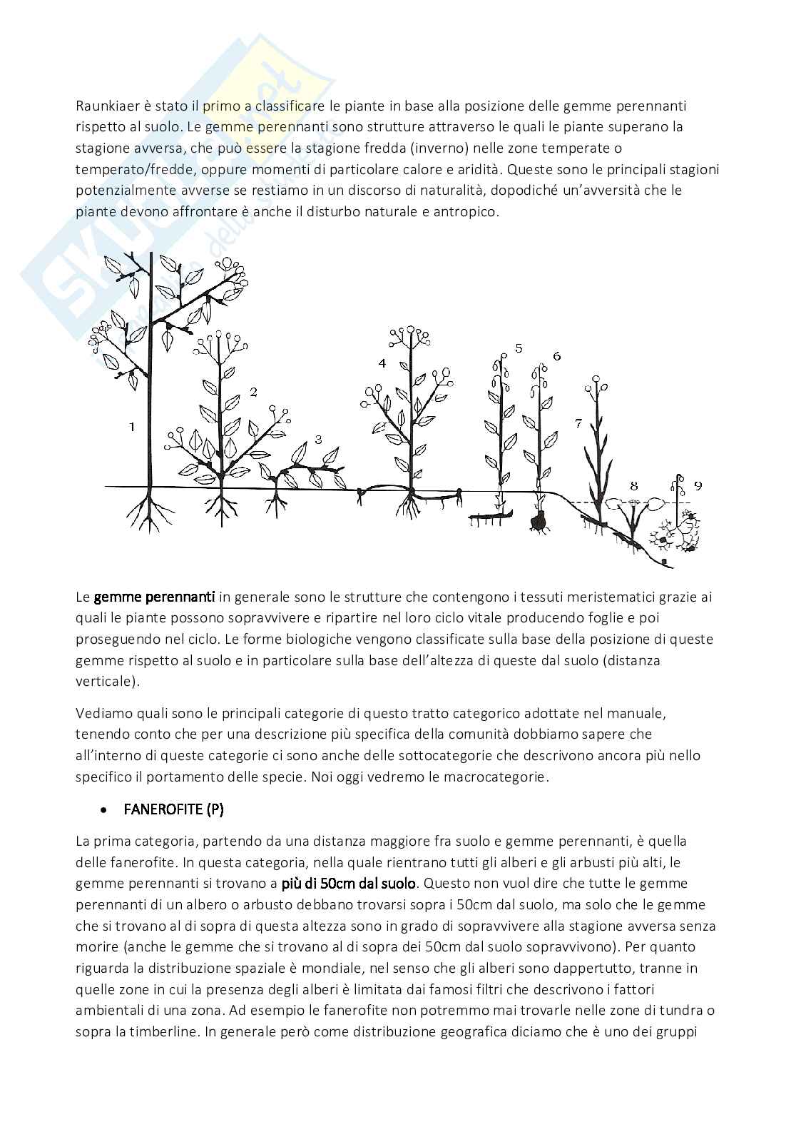 Conservazione e biodiversità vegetale Pag. 66