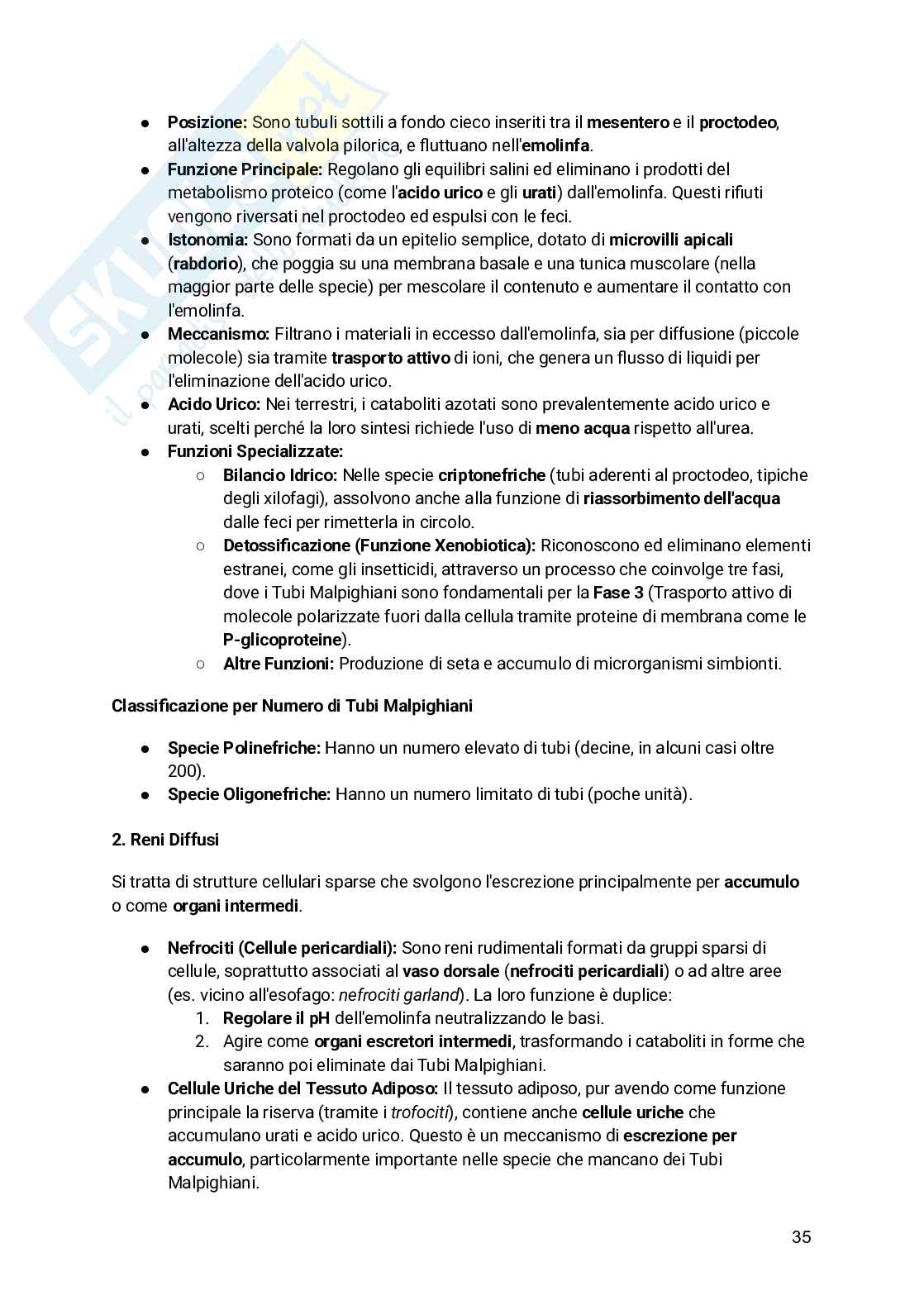 Appunti Entomologia viticola Pag. 36