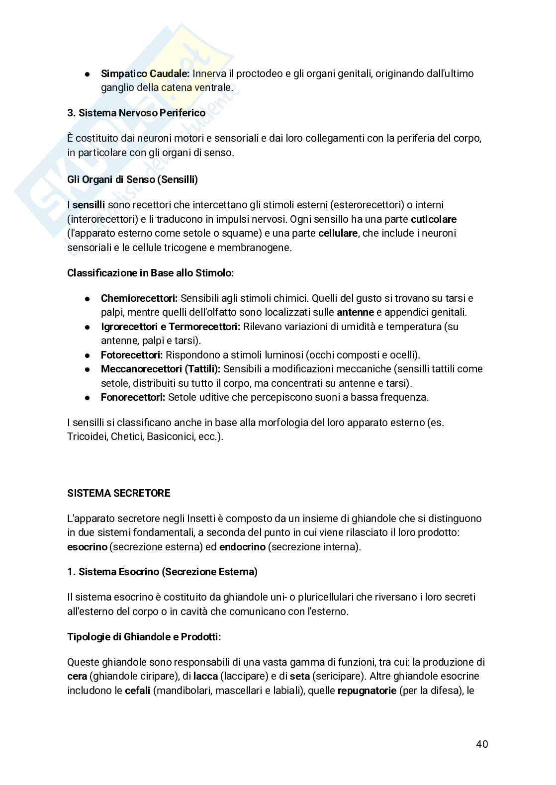 Appunti Entomologia viticola Pag. 41